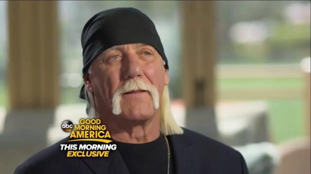 Hulk Hogan sex-video verdict could have limited impact